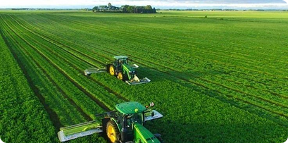 Agriculture